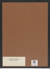 Diatomeae indet. Zeichnungen Sammlung Grunow Mappe 05059 (Herbarium_W_Grunow_drawings_Folder_05059)